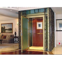 Fjzy-High Quality and Safety Home Lift Fjs-1606
